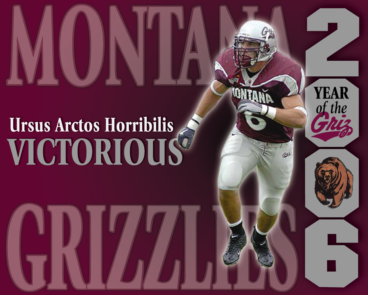 Griz Wallpaper - Updated - Montana Grizzlies • Griz Athletics